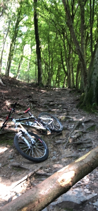 Trail teil2 von Rohren