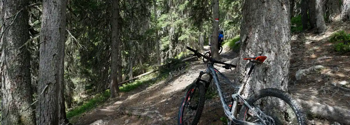 Foto_Leogang - MTB-Urlaub 11 Wurzel-Trail in Saalbach