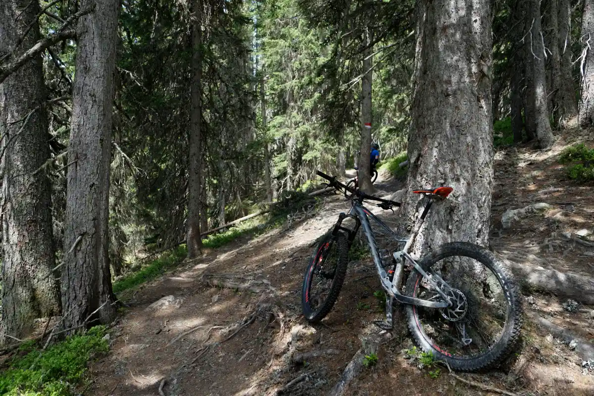 Foto_Leogang - MTB-Urlaub 11 Wurzel-Trail in Saalbach